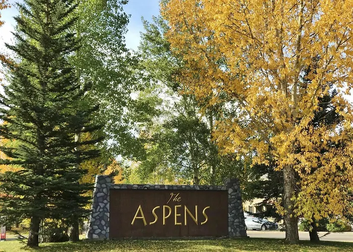 Rmr: Creek In The Aspens